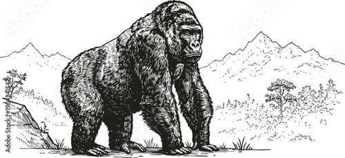 gorilla in nature black and white detailed drawing of a wild gorilla standing on the ground with mountainous forest background