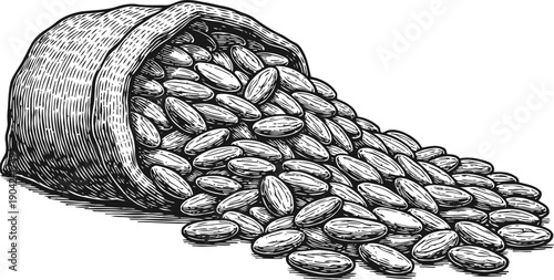 Spilled almonds from sack hand drawn organic nuts pile healthy nutritious food concept