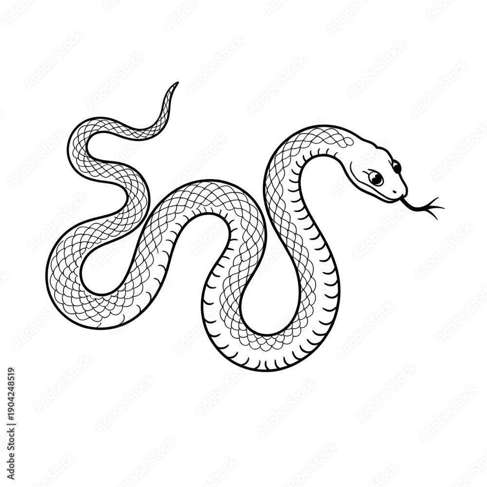 Obraz premium Black and White Snake Line Art Vector Illustration