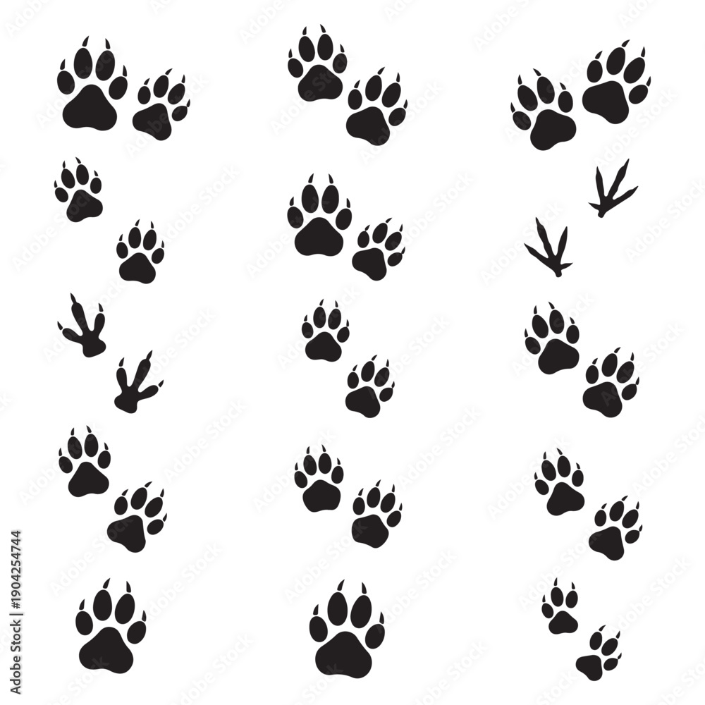 Fototapeta premium Animal Paw Print Icon Set, Pet Footprint PNG, Dog Cat Paw Symbol Clipart, Wildlife Track Vector SVG, Animal Foot Icons, Pet Paw Graphics, Paw Mark Collection
