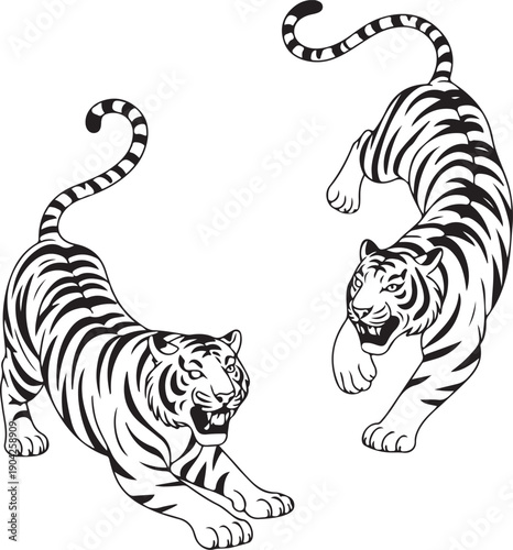 Set of big tigers. Collection of portraits of predatory wild cats. Set of wildlife and fauna dwellers. Vector illustration on a white background. Tattoo
