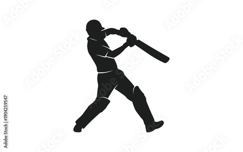 A cricket player is playing cricket