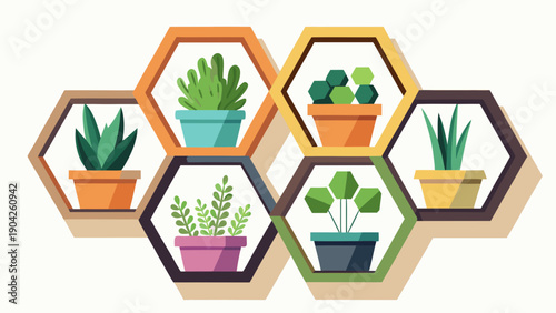 Colorful hexagonal planters showcasing a variety of lush green indoor plants. Vector, illustration