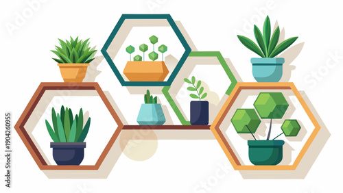 Colorful indoor plants arranged in modern hexagonal planters on a shelf Vector, illustration