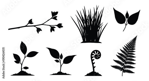 Black silhouettes of various plants and leaves on white background including ferns and seedlings in different stages of growth