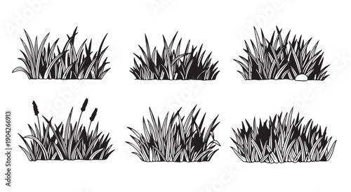 Black and white cattails in various grassy arrangements with minimalist illustration style for decorative elements