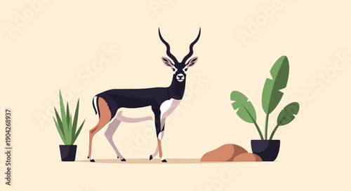 A black buck antelope stands near potted plants and rocks on a pale background