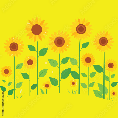 FLOWERS 3