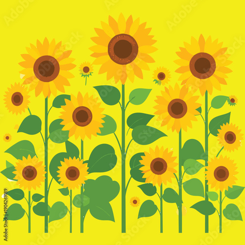 FLOWERS 2