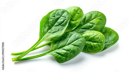 fresh baby spinach leaves on white background