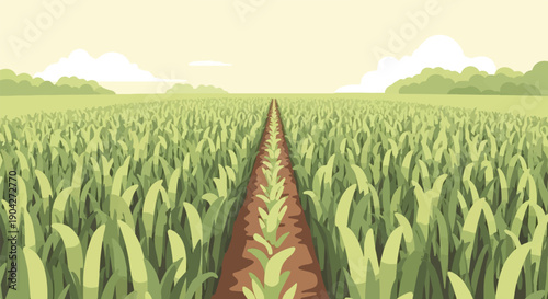 A long row of young plants grows in a field of tall grass