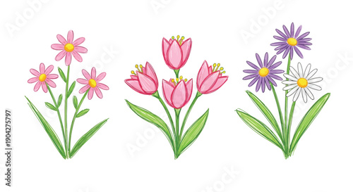 Sketch crayon style modern simple flower art illustration with hand drawn texture
