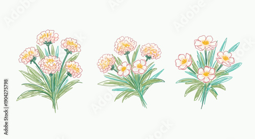 Sketch crayon flower art in modern minimal style with soft artistic lines