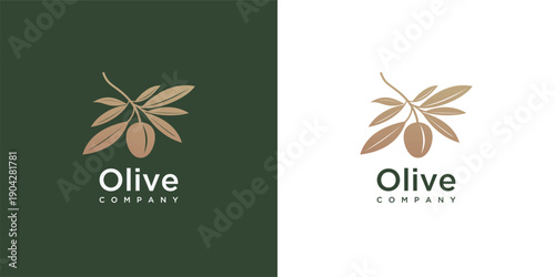 olive branch with fruits and leaf,concept of organic products , cosmetics, menu and packaging design. Vintage botanical illustration.