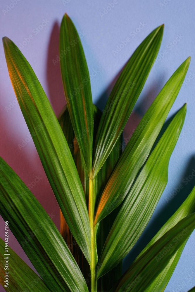 Fototapeta premium Green palm leaves with spiritual lighting for Palm Sunday and Holy Week celebrations, religious event background for social media branding and church community use