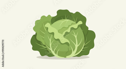 A single, vibrant green cabbage with layered leaves and a smooth texture