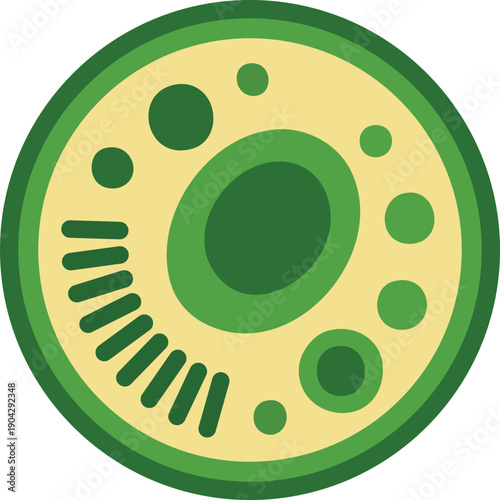 Plant Cell Diagram Illustration