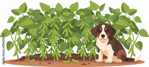 A puppy sits in front of lush green soybean plants with pods