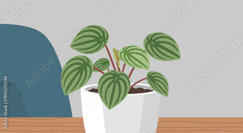 A small potted plant with striped green leaves on a wooden surface