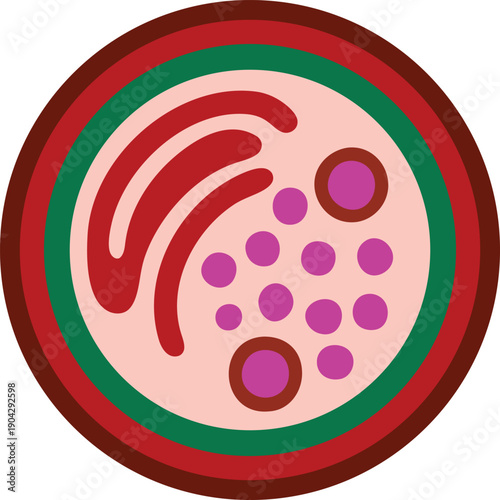 Animal Cell Cross Section Illustration