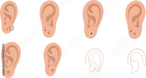 Human Ear Anatomy Vector Illustration Set with Different Ear Shapes, Piercings, and Outline Styles for Medical, Educational, and Design Use