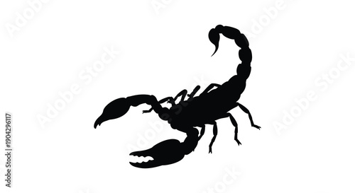 A striking silhouette of a scorpion is prominently displayed against a clean white background showcasing its form