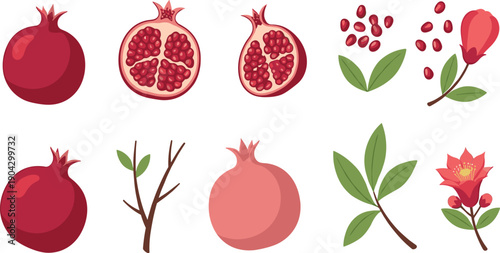 Pomegranate Fruit Vector Illustration Set Featuring Whole and Cut Fruits, Seeds, Leaves, Branches, and Blossoms in Flat Botanical Style