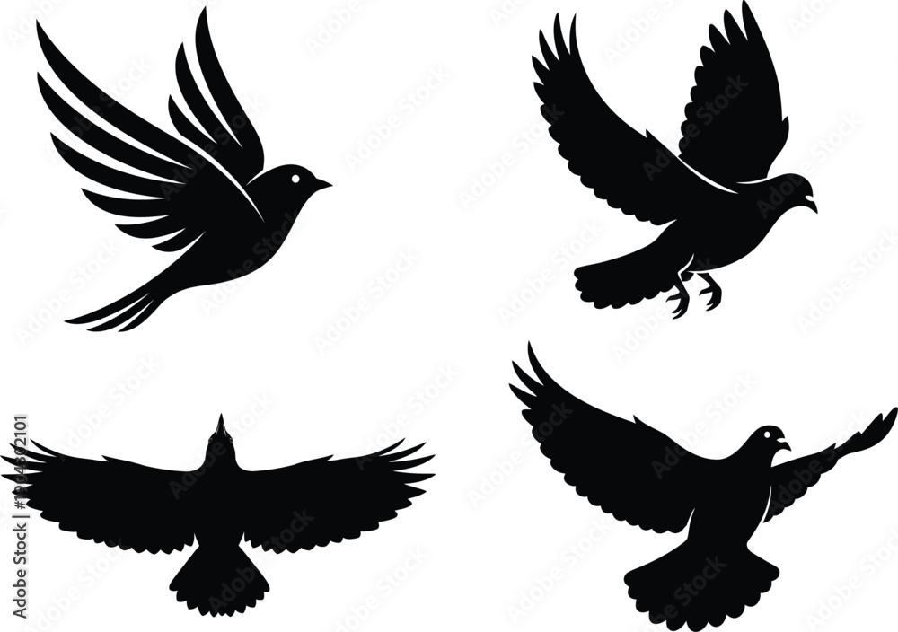 Obraz premium Four black silhouettes of birds in flight on white background