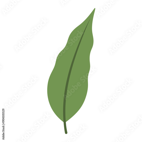 A single green leaf with a dark stem on a white background.