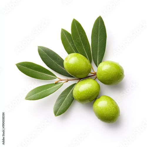 Wallpaper Mural Close-up of three olives on a branch with leaves, glistening with water droplets Torontodigital.ca