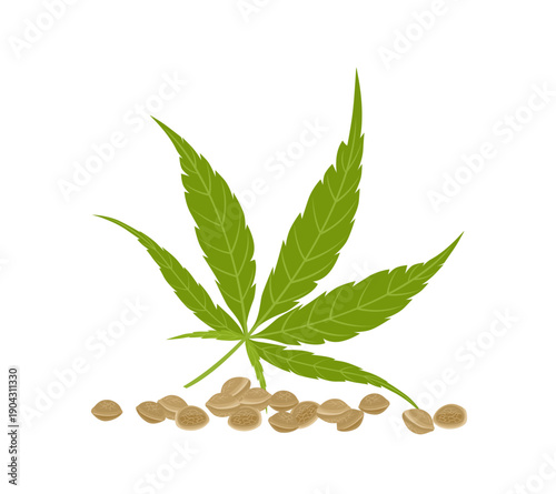 Green hemp leaf and heap of seeds isolated on white background. Vector cartoon flat illustration. 