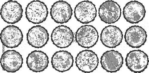 Abstract wood tree ring cross section pattern set isolated on white background for forestry growth analysis natural texture design circular radial scientific illustration