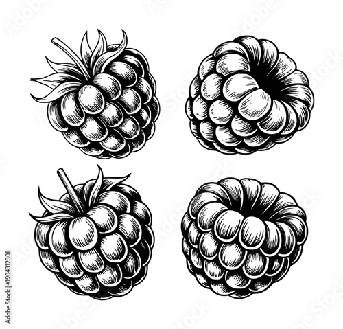Black And White Raspberries With Detailed Texture Isolated White Background raspberry