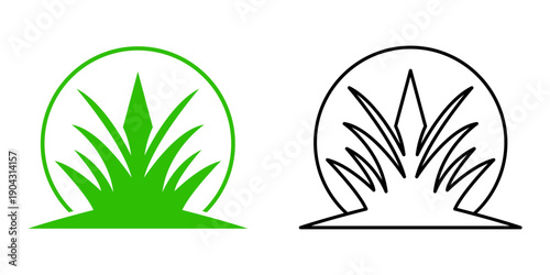 Fresh green grass icon vector illustration for natural environment and garden