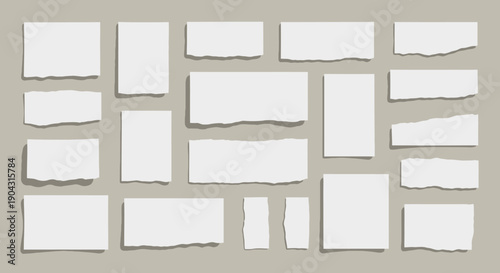 Collection of torn paper pieces with uneven edges on a neutral background