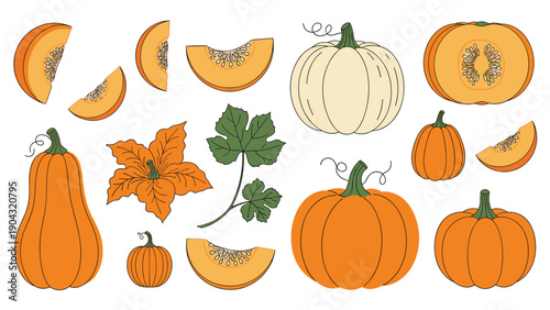 Collection of hand-drawn autumn pumpkins and squash in various shapes and slices, with leaves and flowers, for seasonal designs.
