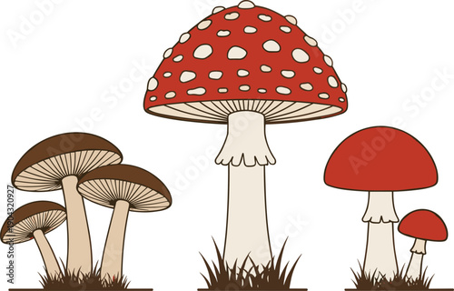 Forest Mushroom Variety Vector Illustration with Fly Agaric and Wild Fungi Collection in Hand Drawn Botanical Cartoon Style for Nature Design