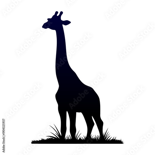 Tall giraffe silhouette standing in the grass safari wildlife vector illustration