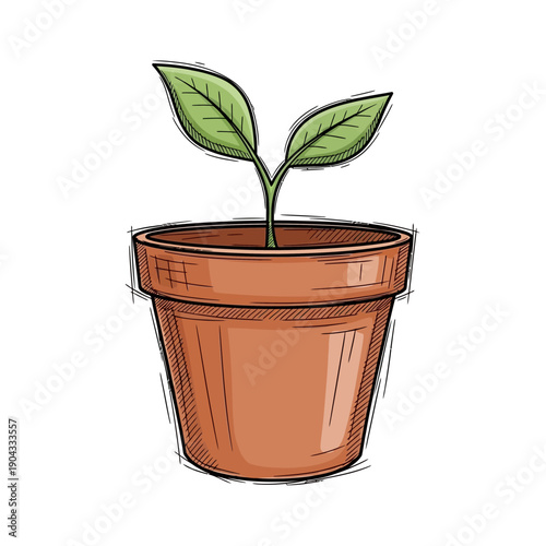 Hand-drawn seedling in terracotta pot, illustration of growth and new beginnings