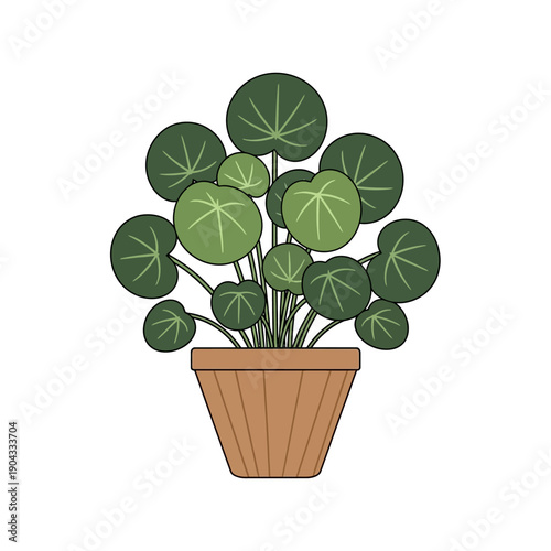 Pilea Peperomioides Plant in Terracotta Pot, Chinese Money Plant Illustration