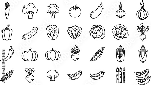 Set of 30 Vegetable Line Icons Vector