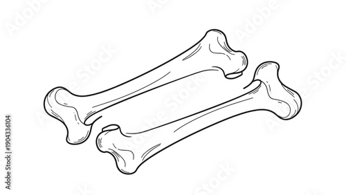 Simple black and white line drawing shows two crossed human bones representing anatomy, medicine, or a symbol for danger and warning.