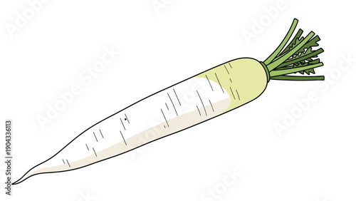 Long white daikon radish vegetable is shown with its green leafy top as a realistic vector illustration isolated on a white background.