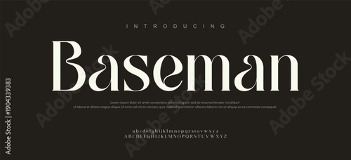 Elegant Fonts, Uppercase, Lowercase, and Numbers. Classic Letter Fashion Design. Typography, modern serif fonts, regular decorative vintage concepts. Vector illustrations, beauty.

