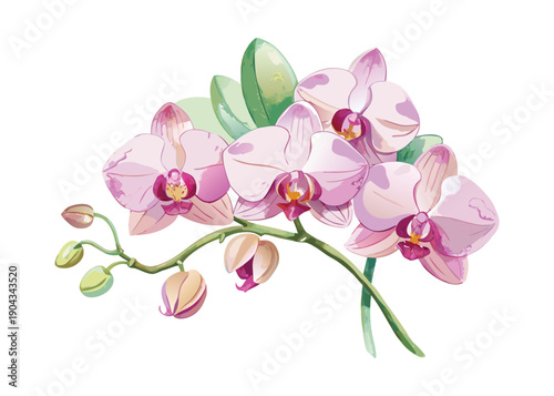 A beautiful branch of delicate pink orchid flowers with buds gracefully blooming.
