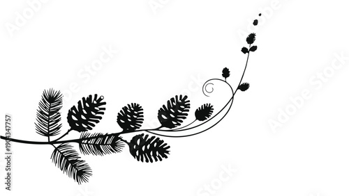 Elegant pine branch with cones and delicate swirling vines on white background
