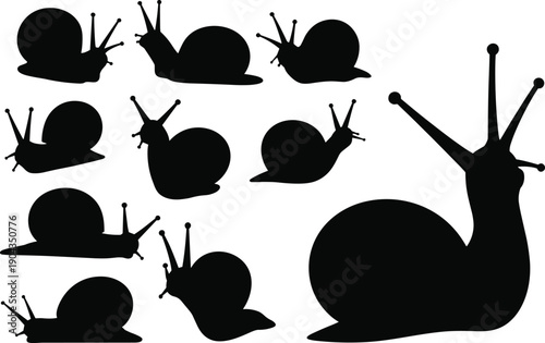 Snail silhouette set illustration, garden mollusk collection, slow animal poses, nature wildlife concept, isolated black vector icons design
