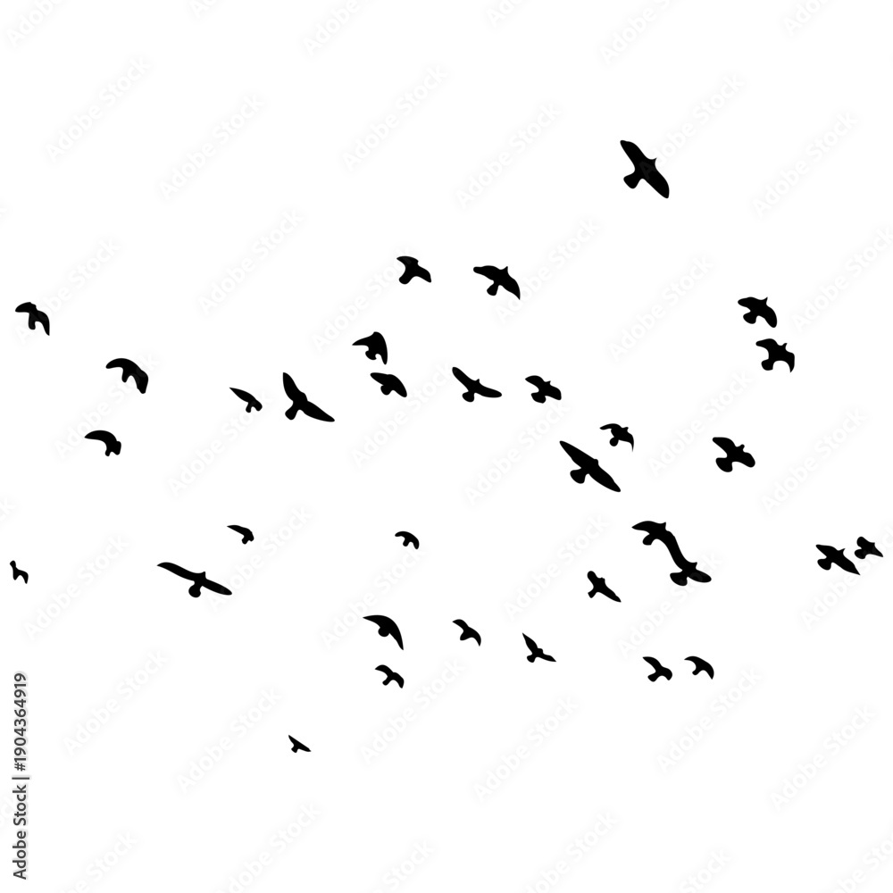 Fototapeta premium Silhouette of a Flock of Birds. Isolated on White Background. Vector Illustration.