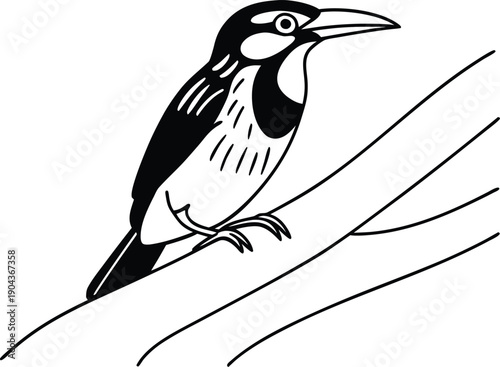 coppersmith barbet outline silhouette vector illustration
