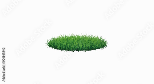 A detailed, isolated clump of vibrant green grass on a white background